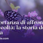 Sfide da superare: come affrontare le difficoltà e ottenere successo